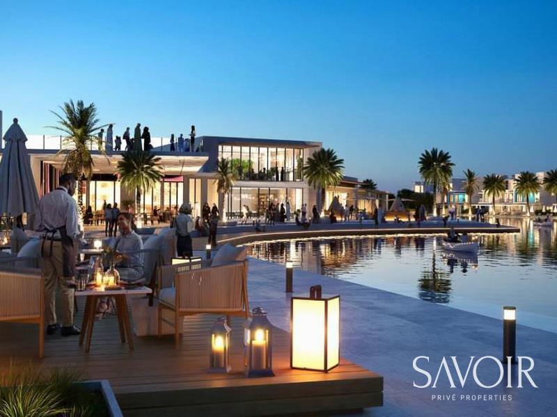 Villa in Damac Lagoons — photograph 5